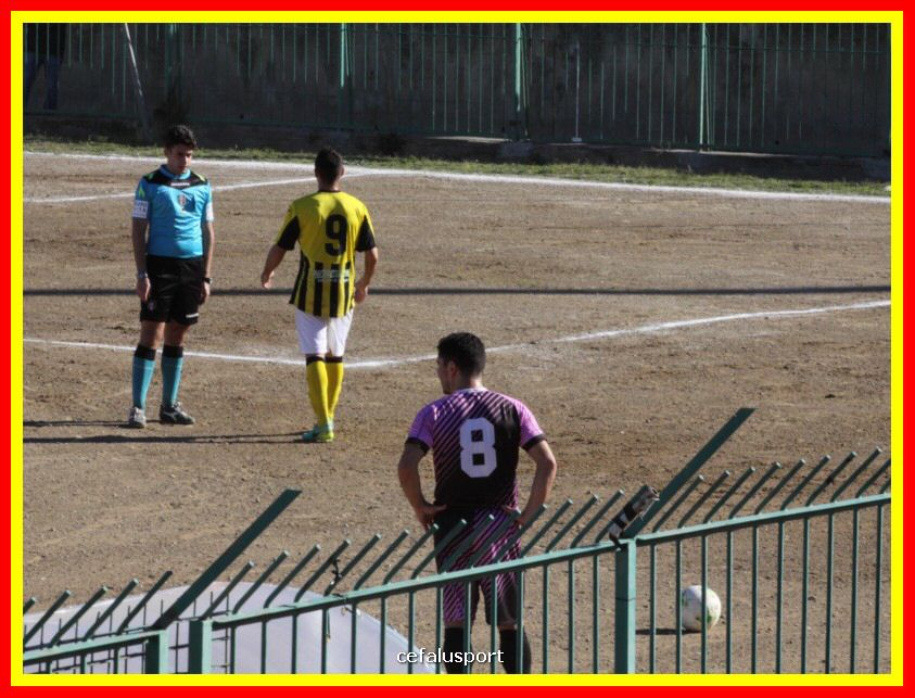 190310 Cephal_Torrenov 086_tn.jpg